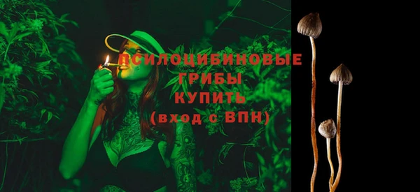 стаф Алзамай