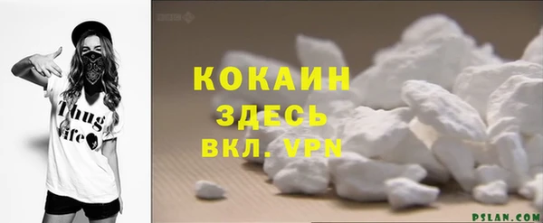 стаф Алзамай