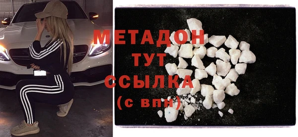 стаф Алзамай