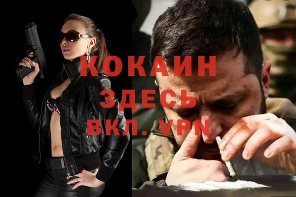 стаф Алзамай